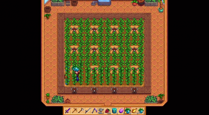 星露谷物语温室种什么1