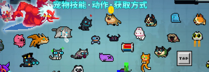 元气骑士里的宠物哪个最好_元气骑士哪个宠物最好排名表