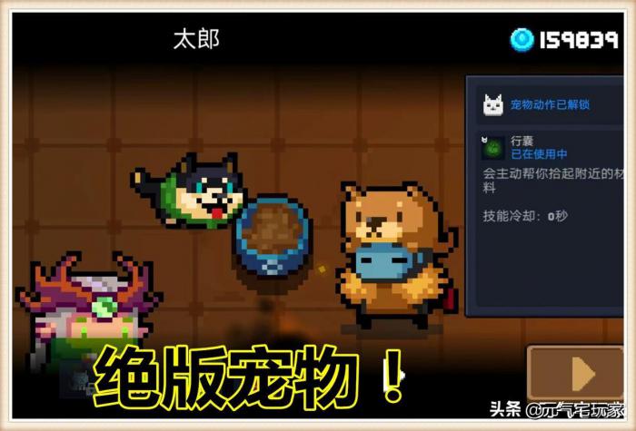 元气骑士宠物如何换6