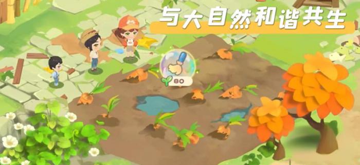 碳碳岛积分有什么用2