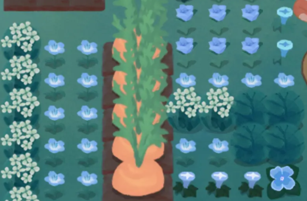 晚安森林常见注意事项1