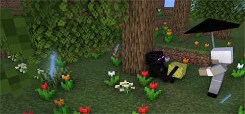 我的世界末地城怎么找1