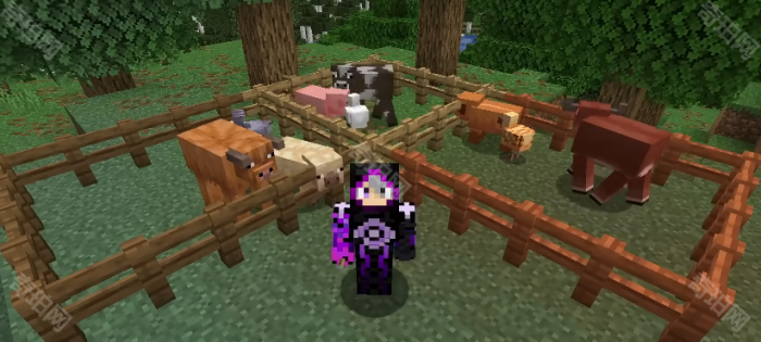 《我的世界》1.21.5春意盎然版本新增变种动物介绍2