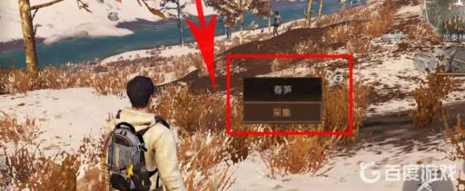 明日之后春笋怎么采集?6