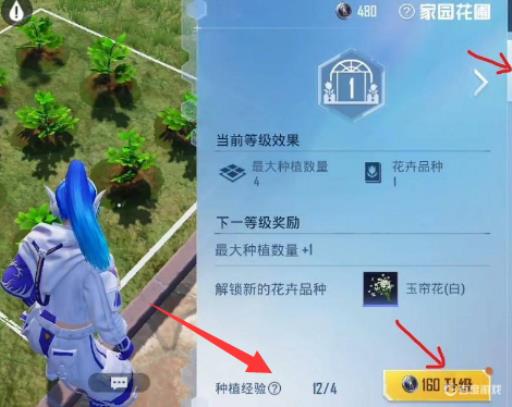和平精英家园花圃怎么快速升级?1