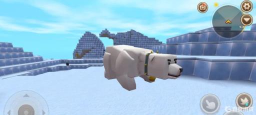 迷你世界的野生北极熊怎么驯服的?3