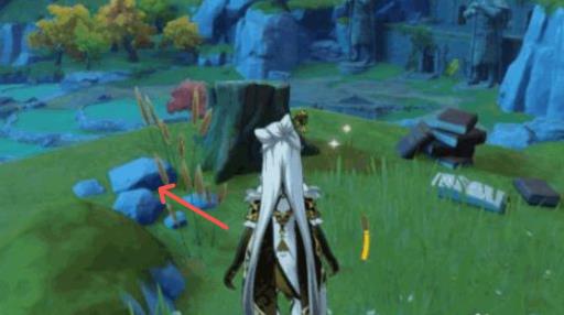 原神解开绿化池的秘密怎么打?2