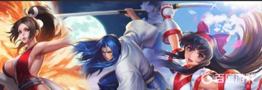 王者荣耀三个snk哪一个最值?_王者有几个snk