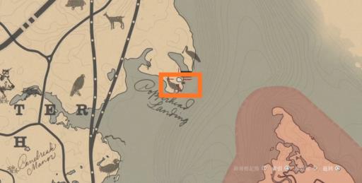 荒野大镖客2老鼠在哪抓?2