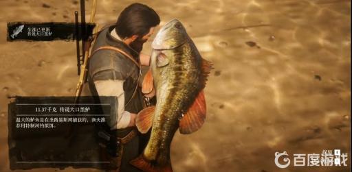 荒野大镖客2大口黑鲈用什么鱼饵?3