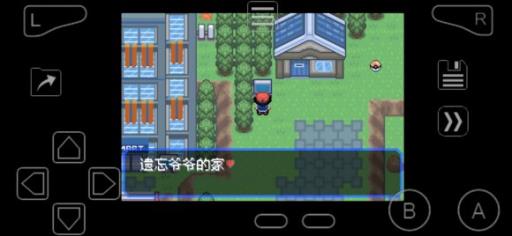 究极绿宝石遗忘老人在哪?2