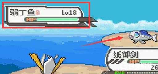 究极绿宝石弱丁鱼在哪里捉?4