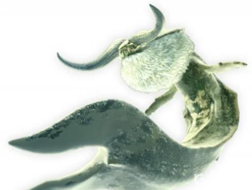 怪物猎人3有哪些怪兽?17