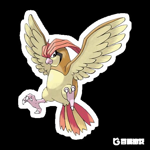 剑盾比比鸟在哪抓?1