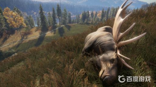 荒野的召唤如何击中心脏?1