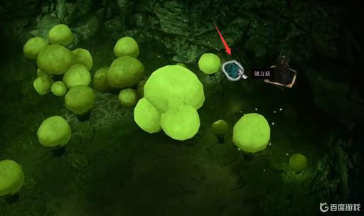 博德之门3谏言菇怎么拿?1