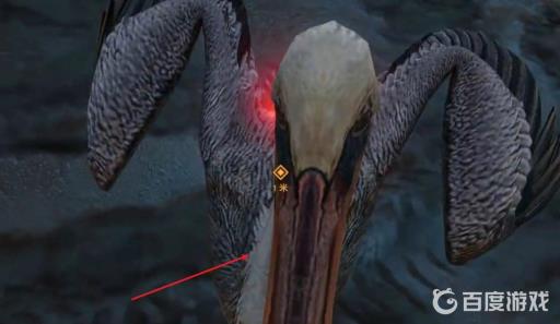 孤岛惊魂6怎么喂鹈鹕?2