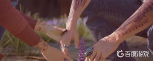 如何完成任务-薰衣草?_如何完成任务-薰衣草详细介绍