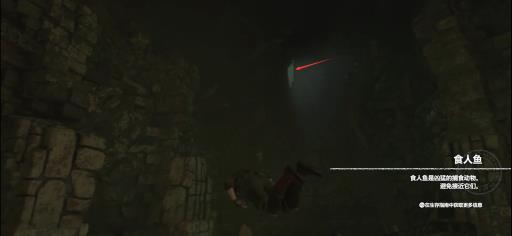 古墓丽影暗影圣胡安教会古墓怎么过?12