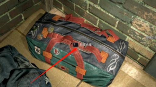 消逝的光芒子弹不能放仓库嘛?_消逝的光芒子弹为什么不能放仓库