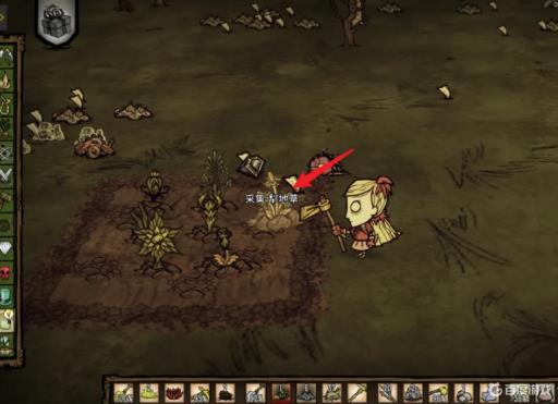 饥荒怎么大量获得犁地草?1