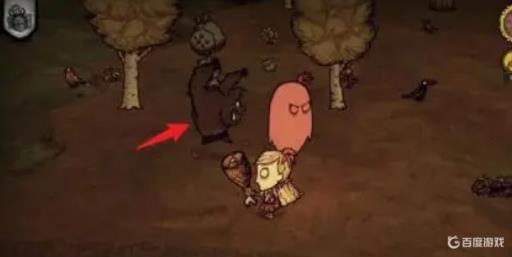 饥荒怎么持续获得肉?5