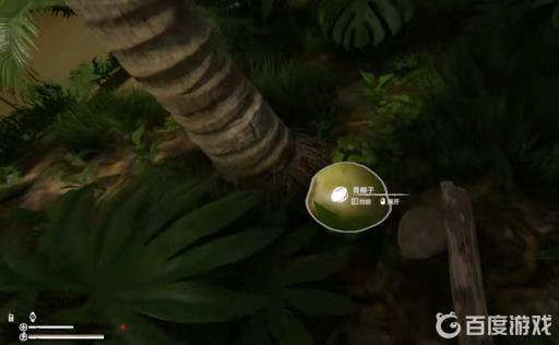 绿色地狱椰子在哪?3