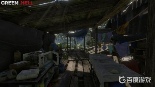 绿色地狱巴西漫游蜘蛛可以干什么?1