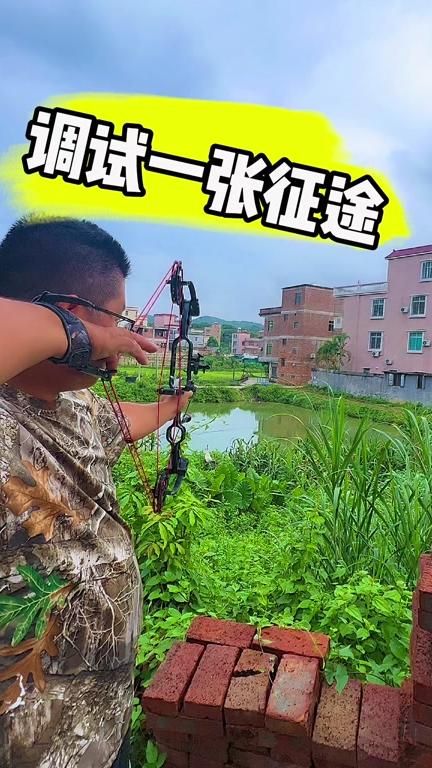 征途宠物弓灵兽抓什么好1