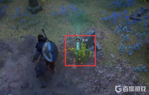 英灵殿颠茄在哪找?4