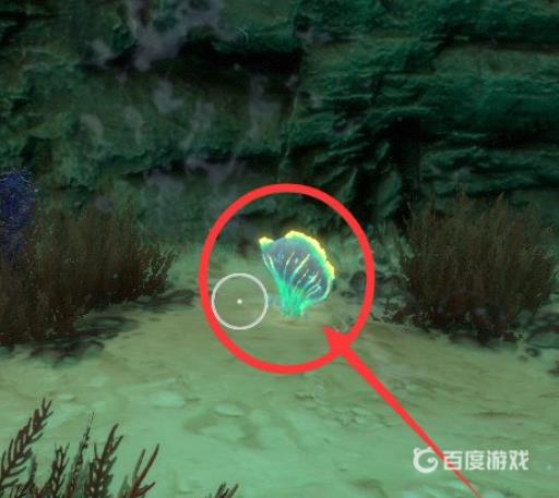 深海迷航孵化酶材料去哪找?2