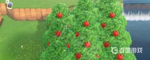 动森怎么挖树?4