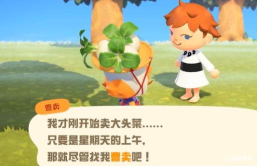 动森怎么获得大头菜种子?2