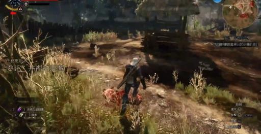 巫师三井里的恶魔怎么打?3