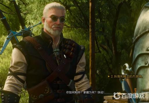 巫师3今天我要嫁给你完美结局如何达成?8