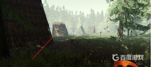 森林前期怎么发展?4