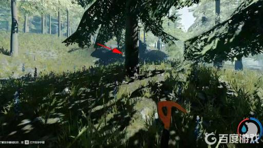 森林现代弓在哪个洞?10