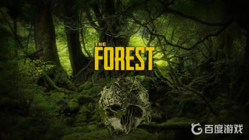 森林steam怎么调画质最舒服?1