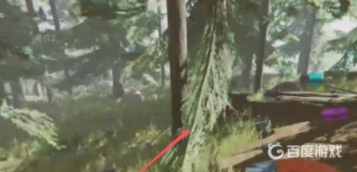 森林胶带怎么获得?3