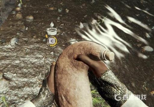 森林怎么烧水?3