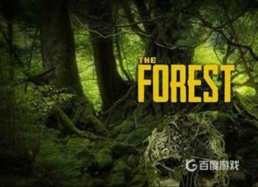 森林怎么吃东西?1