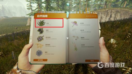 森林芦荟一般出现在哪个位置?2