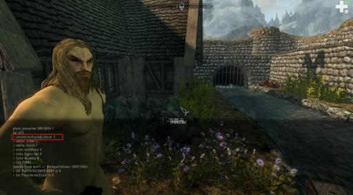 上古卷轴5改变关系代码是什么?2