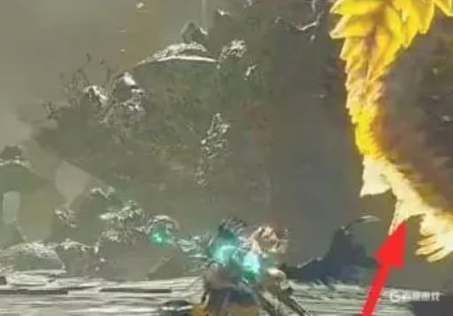 怪物猎人崛起单手剑怎么打雷神龙?4