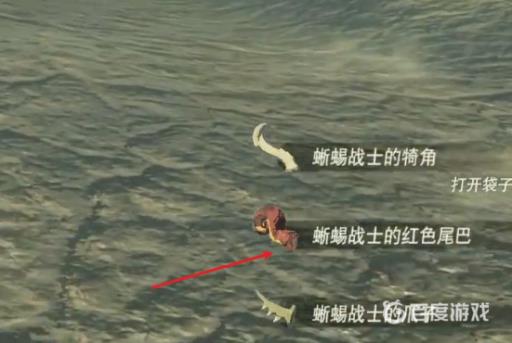 塞尔达红色蜥蜴尾巴哪里刷?4