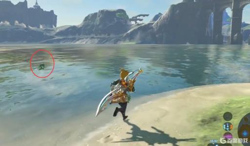 塞尔达被冲走的妻子在哪?6