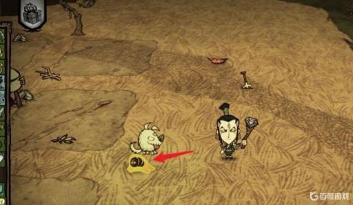 饥荒冰冻虫卵怎么获得?3