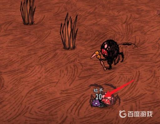 饥荒韦伯怎么和蜘蛛做朋友?5