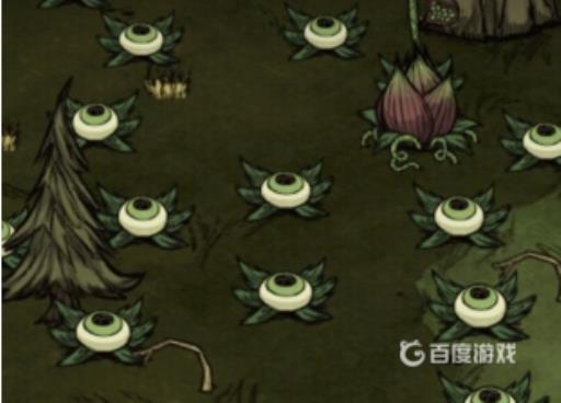 如何击杀眼球草?1