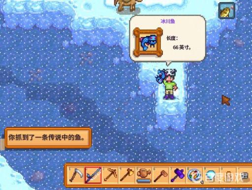 星露谷物语冬季鱼王在哪钓?2
